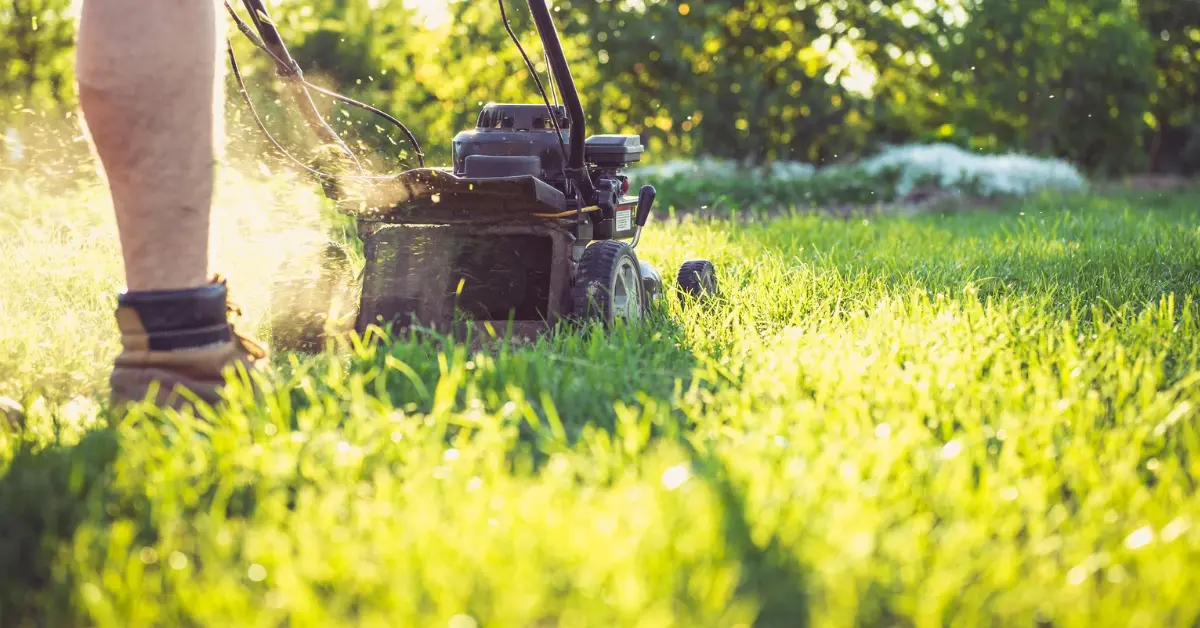 Acreage Mowing Rates and Charges Explained