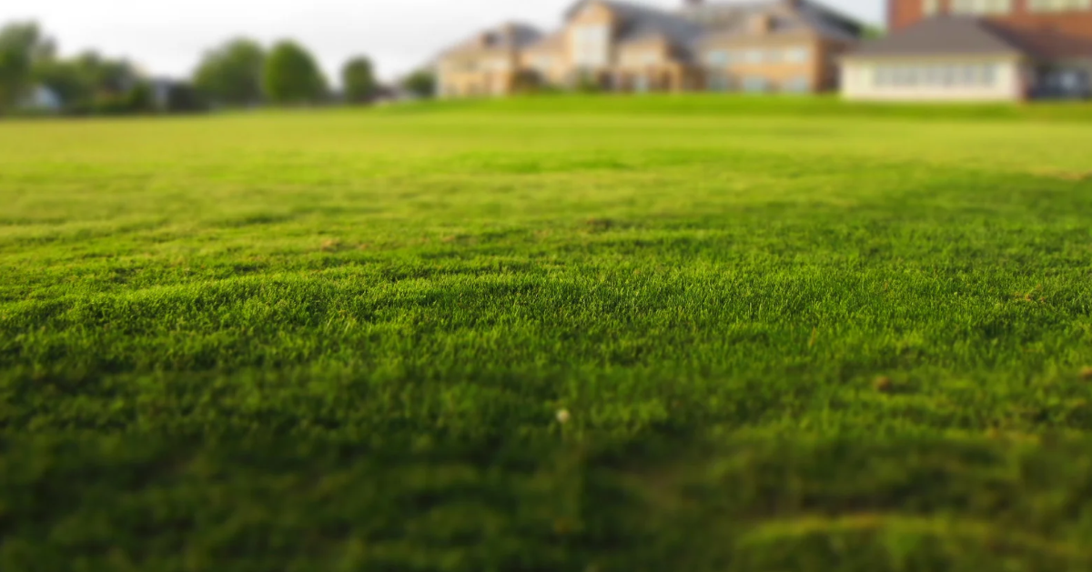 Firebreak Mowing and fire control in Lockyer Valley