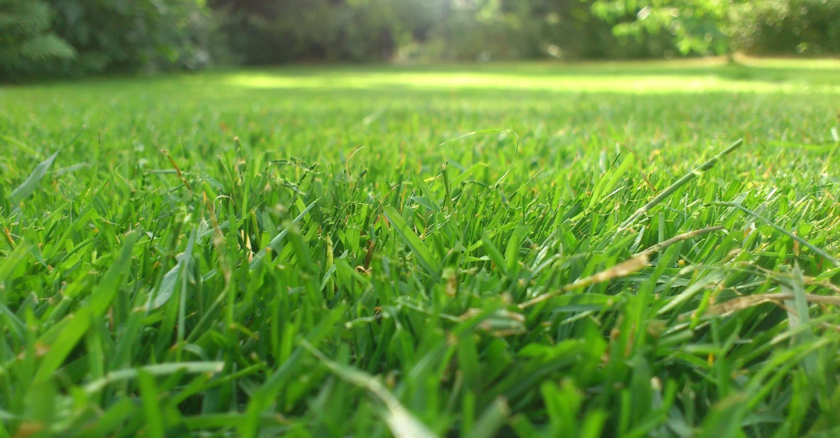 How Much Should Australian Gardening & Mowing Businesses in Lockyer Valley Charge