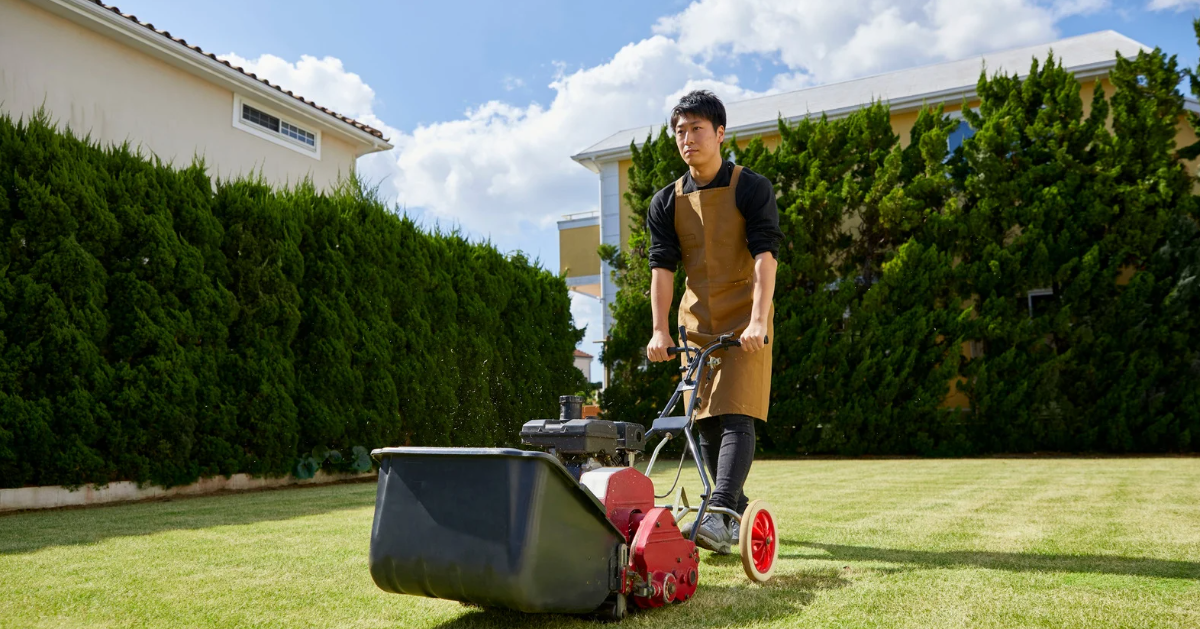 How To Do A Professional Lawn Mowing Care Service Start To Finish in Lockyer Valley