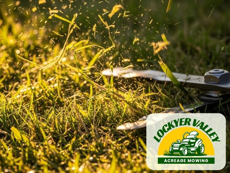 residential lawn mowing withcott lockyer valley